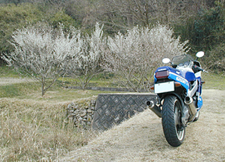 �t�̋C�z��GSX-R