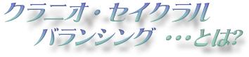 NjIZCN@oVO@Ƃ́H