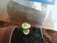 �W���R��