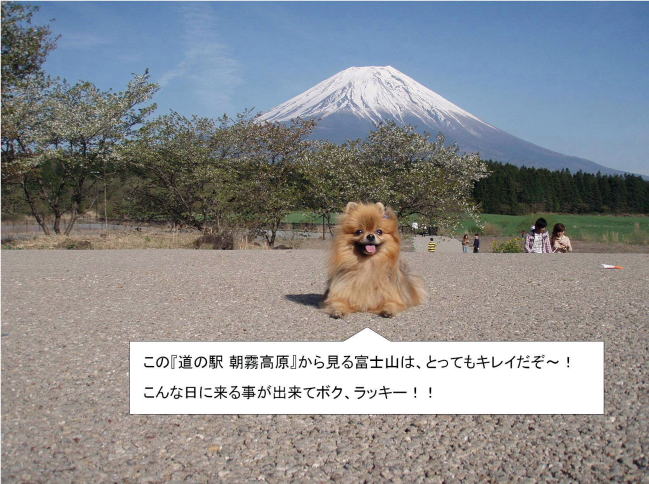 �w�߂�x�Ō��ɋA���ĉ������B