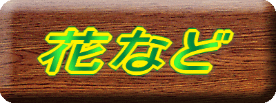 �ԂȂ�