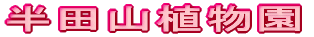 ���c�R�A����