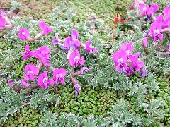 �G�]�I���}�m�G���h�E