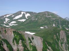大雪山の高山植物