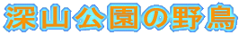 �[�R�����쒹