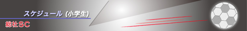 スケジュール　小学生